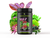 JAR RISE