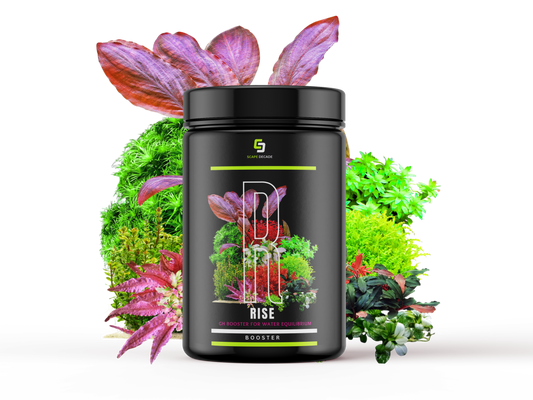 JAR RISE
