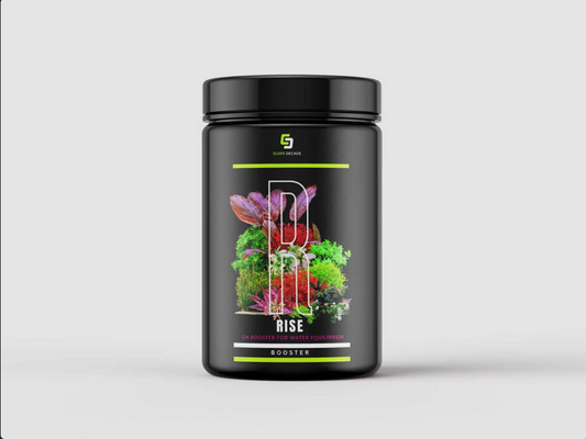 JAR RISE