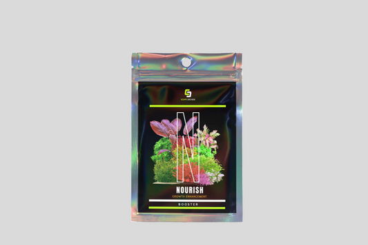 NOURISH