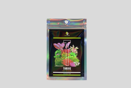 THRIVE